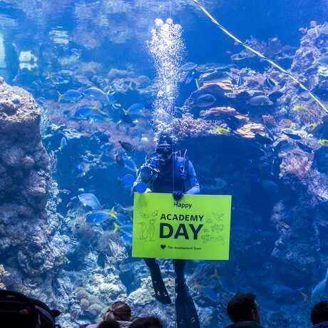 Nicole Ravicchio © California Academy of Sciences