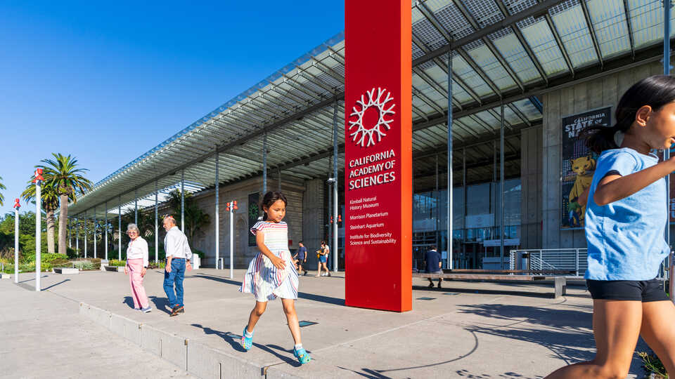 Guests of all ages stroll along the Cal Academy concourse at the entrance to the museum on a bright sunny day