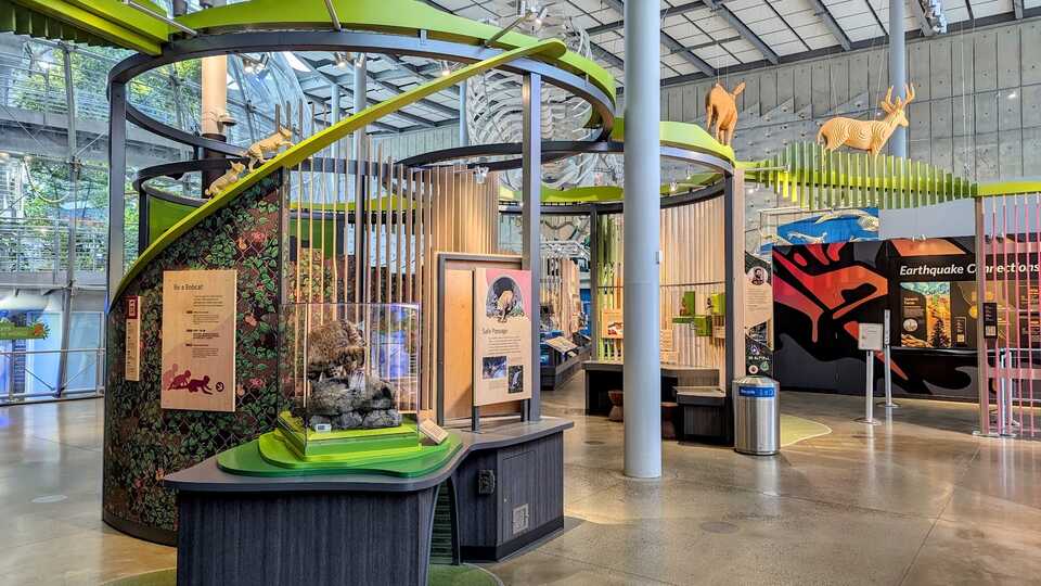 Interior view of California: State of Nature exhibition at Cal Academy