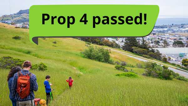 People hiking on a lush grassy hillside in San Francisco with a "Prop 4 passed!" banner at the top of the image