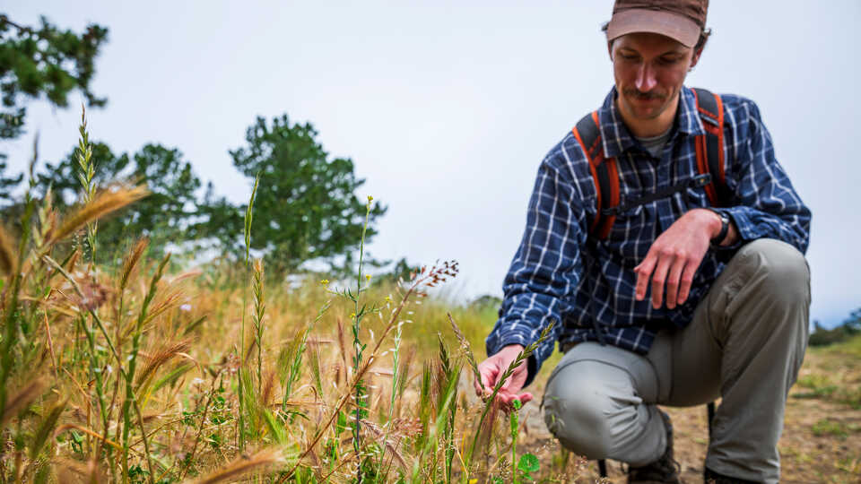 Academy postdoctoral researcher Avery Hill looks at a plant during a walk in a San Francisco park