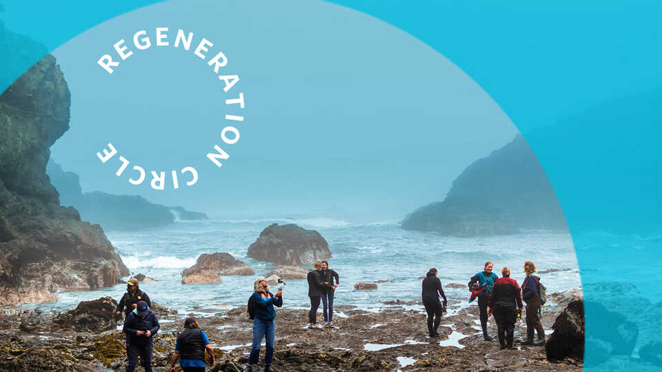 A group of adults explores tidepools along the Northern California coast
