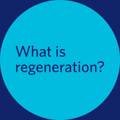 Teal circle with text "What is regeneration?" inside