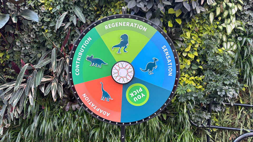 Spinning Trivia Wheel