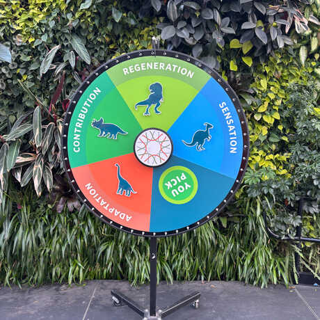Spinning Trivia Wheel