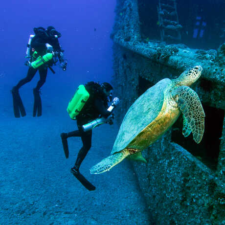 Tackling Conservation Challenges