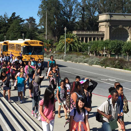 Field trip students 
