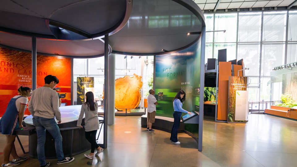 Guests exploring the earthquake section of Giants of Land and Sea exhibit at Cal Academy