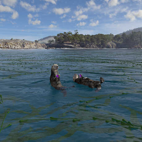 Sea otter scene from Habitat Earth