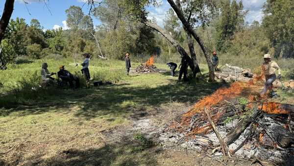 A group of people hovers around several burning piles of leaves and twigs, in a shaded forest clearing with blue skies in the background. 