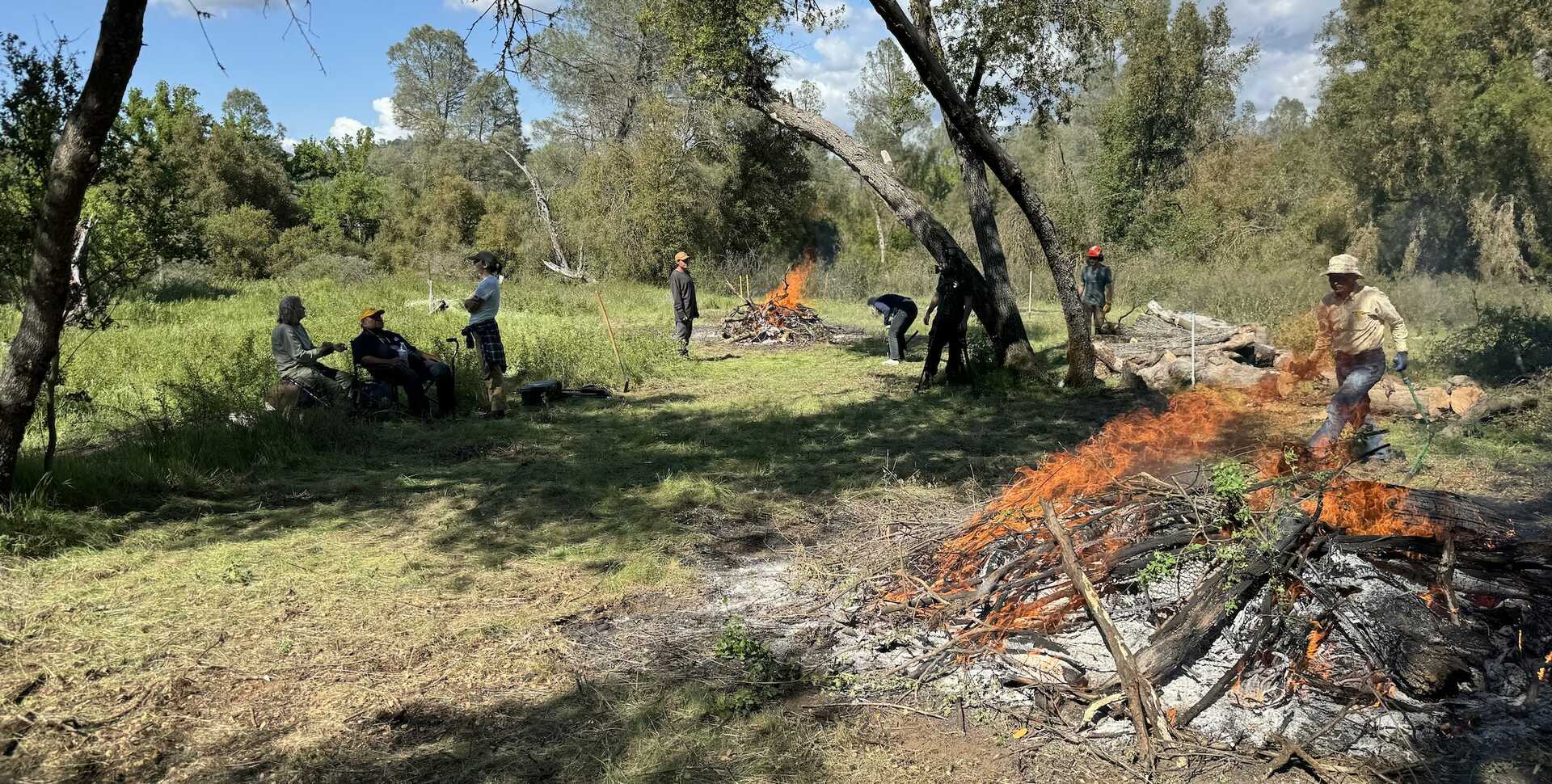 A group of people hovers around several burning piles of leaves and twigs, in a shaded forest clearing with blue skies in the background.