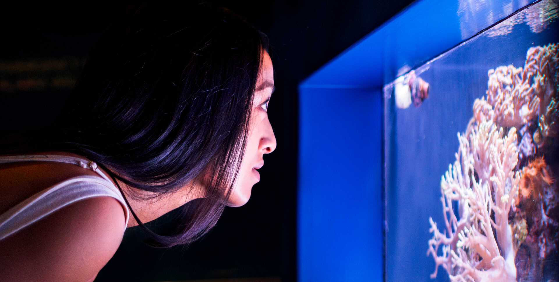 A woman looks intently at a tropical fish tank exhibit in Hidden Reef at Cal Academy's Steinhart Aquarium