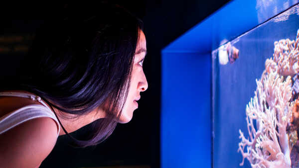 A woman looks intently at a tropical fish tank exhibit in Hidden Reef at Cal Academy's Steinhart Aquarium