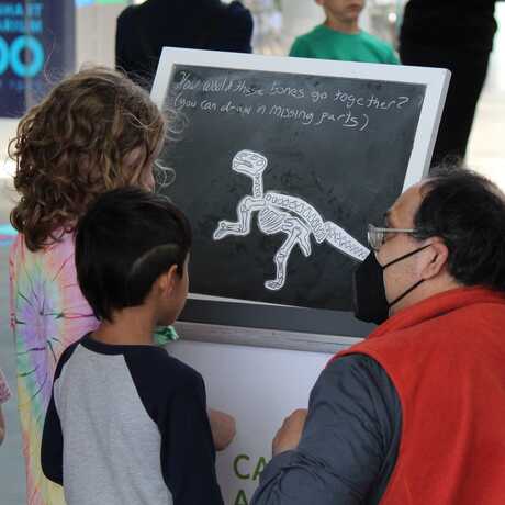 Two children and presenter observing an Iguanodon skeleton