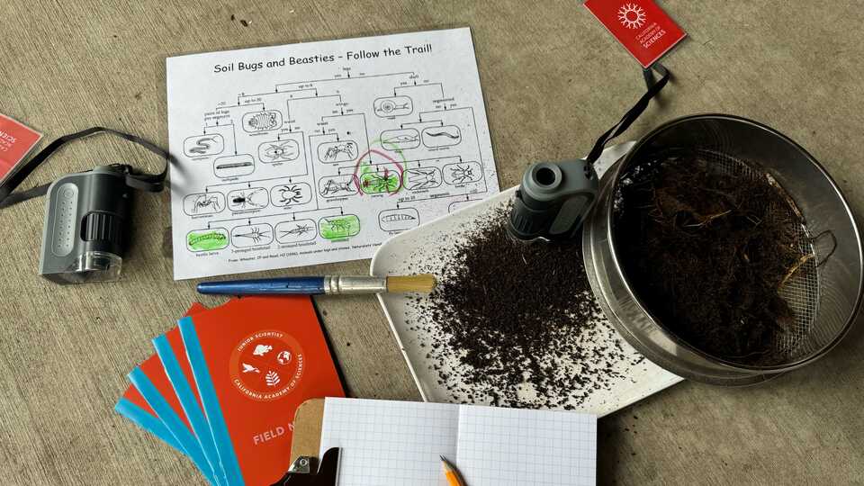 Outdoor exploration tools for Junior Scientist Adventure