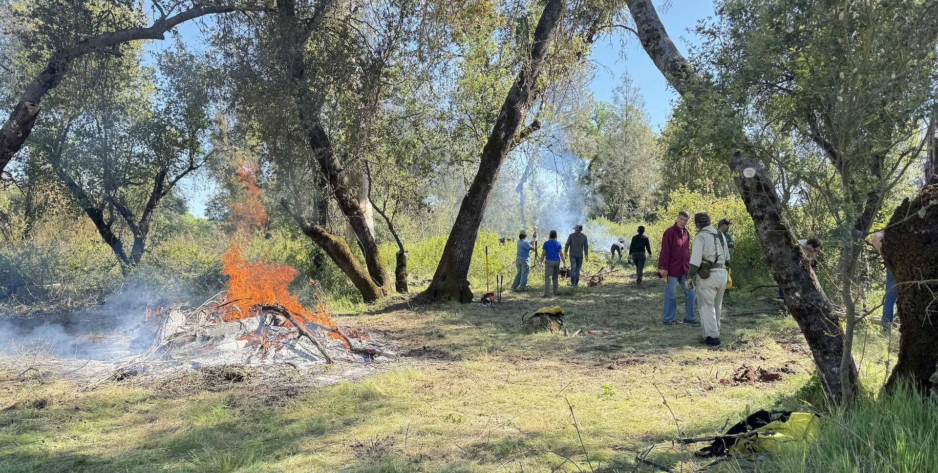 A group of people crowds around a fire during a cultural burn.
