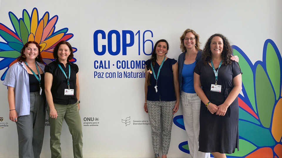 The delegation from Cal Academy at COP 16 (from left: Sydney Davenport; Shannon Bennett; Estefanía Pihen González; Amber Mace; Rebecca Johnson)