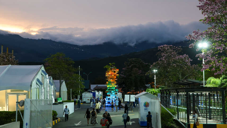 The COP 16 campus was framed by the forested mountains surrounding Cali. Photo by IISD/ENB | Mike Muzurakis