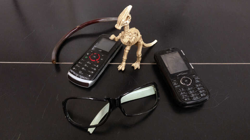 A group of objects removed from fish stomachs, including 2 cellphones, a plastic dinosaur toy, sunglasses, and a piece of pipe