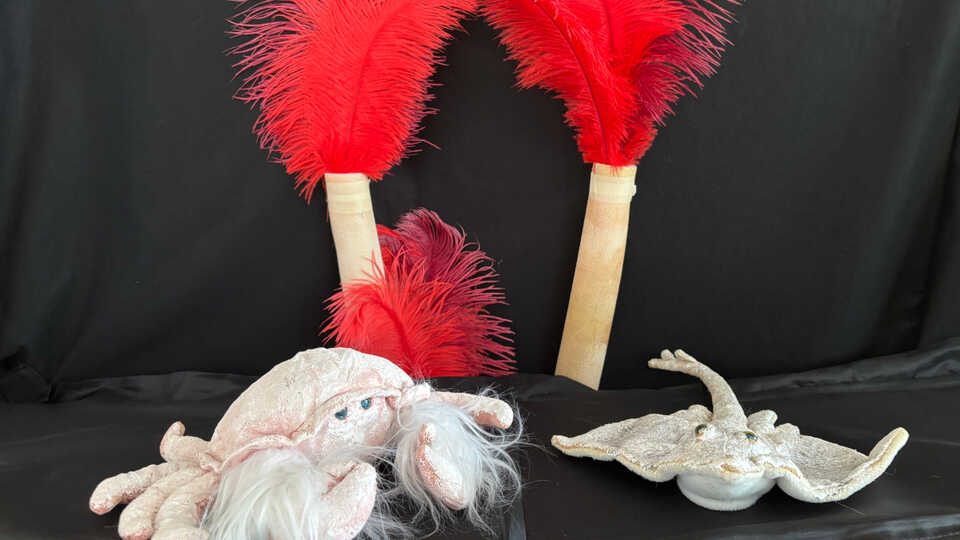 Crab and Sting Ray puppets with Tubeworm puppets in the background