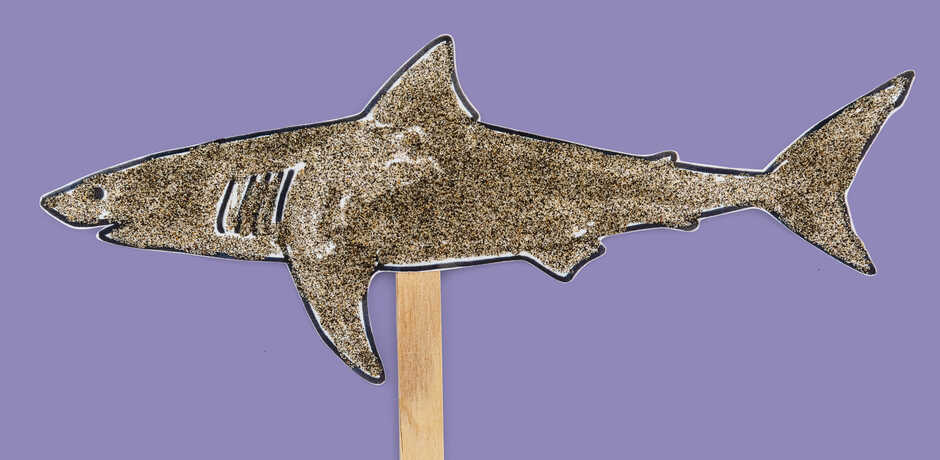 Craft of shark on a popsicle stick
