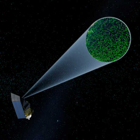 Image Credit: California Academy of Sciences Visualization Studio