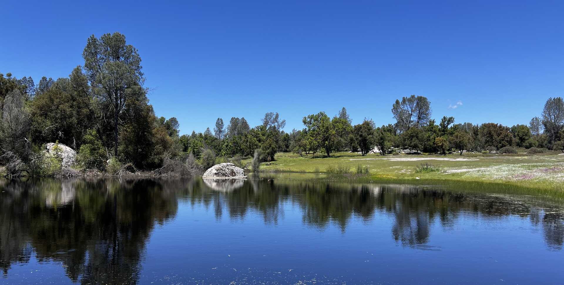 A spring appears glassy on a bright blue day, with a green meadow in the background.