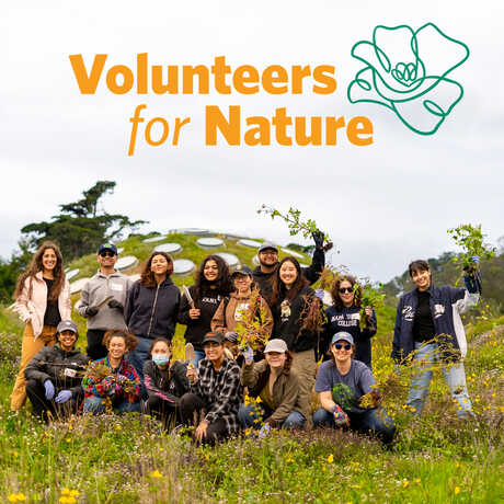 Group of volunteers atop the living roof on Cal Academy with Volunteers for Nature wordmark