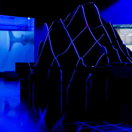 Giant topographic model of a deep sea seamount in Unseen Oceans exhibit at Cal Academy