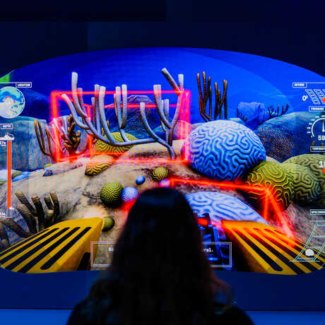 A guest plays an interactive game to collect deep sea specimens in Unseen Oceans exhibit at Cal Academy