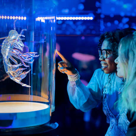 Two women point in wonder at a larger than life plankton model in Unseen Oceans exhibit at Cal Academy