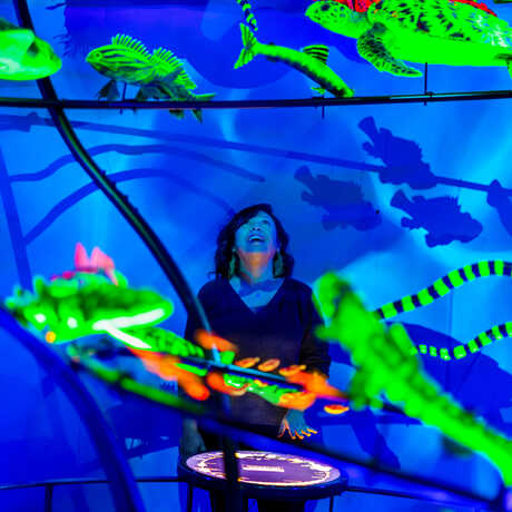 A woman gazes up in wonder at a suspended spiral-shaped diorama of glowing deep sea fish and sea turtles in Unseen Oceans exhibit at Cal Academy