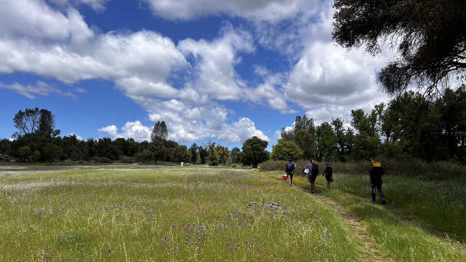 Three people walk with rakes and other supplies towards the burn site, past a green field of flowers and a small spring.