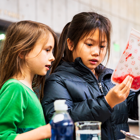 Two children looking at a specimen