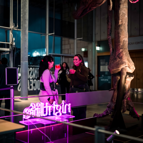 NightLife