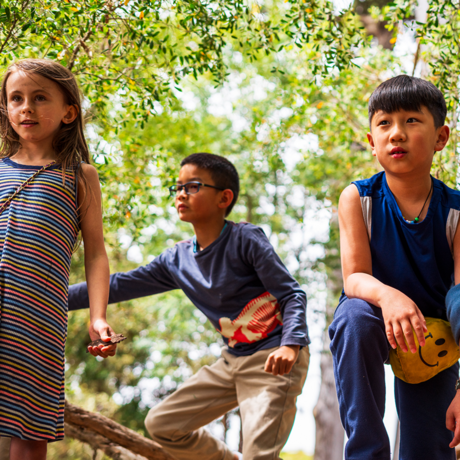Four elementary school-age kids play outdoors amid green-leafed trees