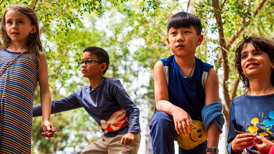 Four elementary school-age kids play outdoors amid green-leafed trees